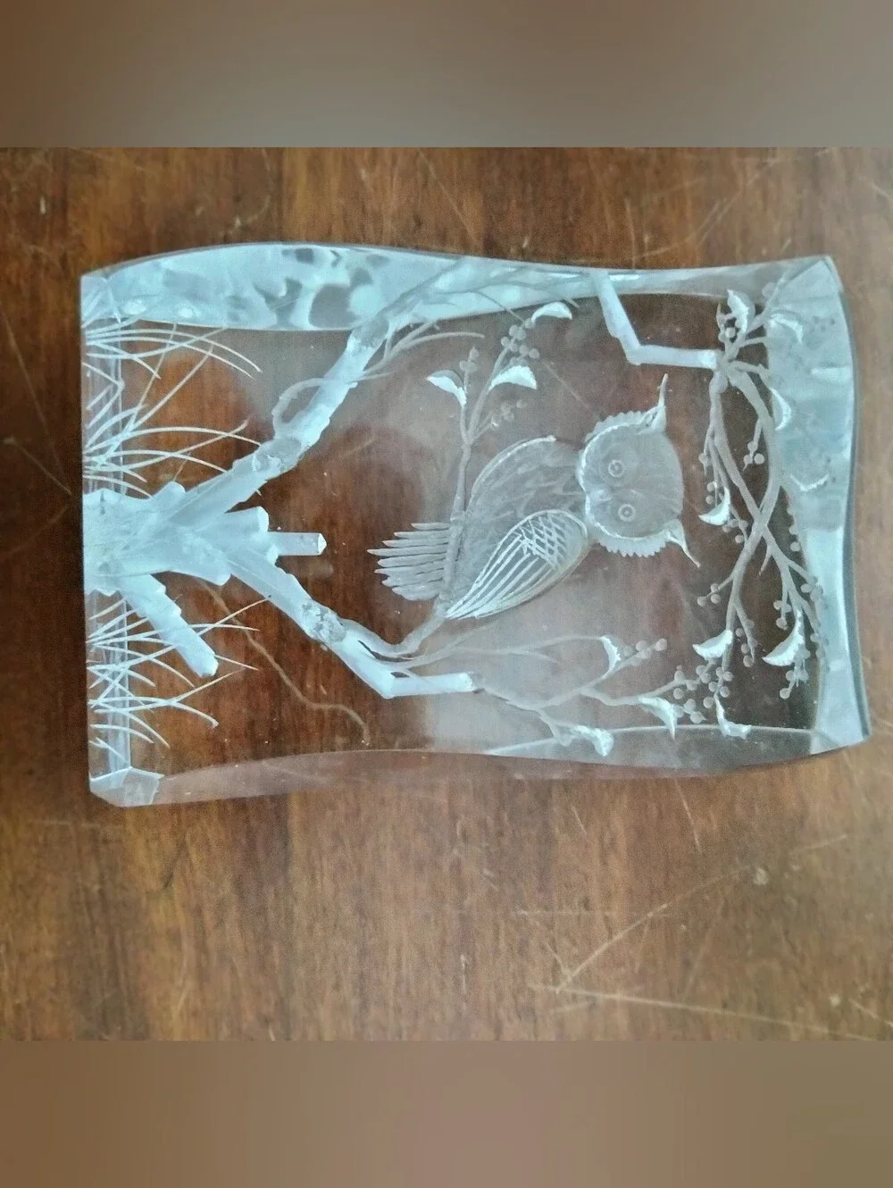 Clear Glass Owl Decorative Paperweight - Clear